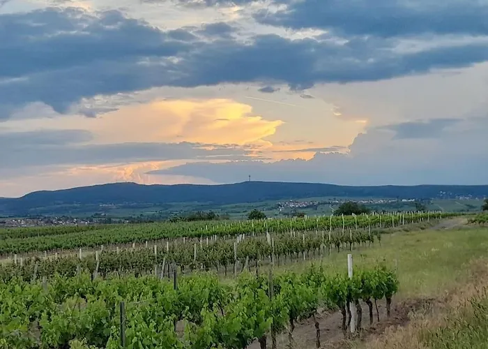 Willkommen In Weisenheim Am Sand