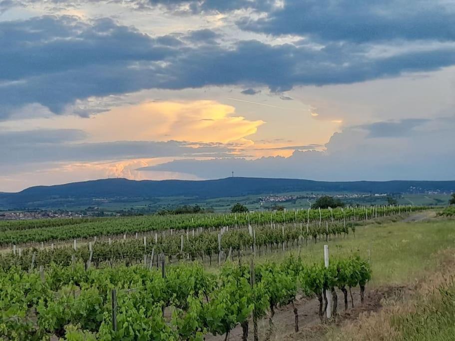 Holiday home Willkommen In Weisenheim Am Weisenheim am Sand